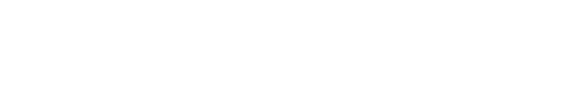 Everyday Survey Logo